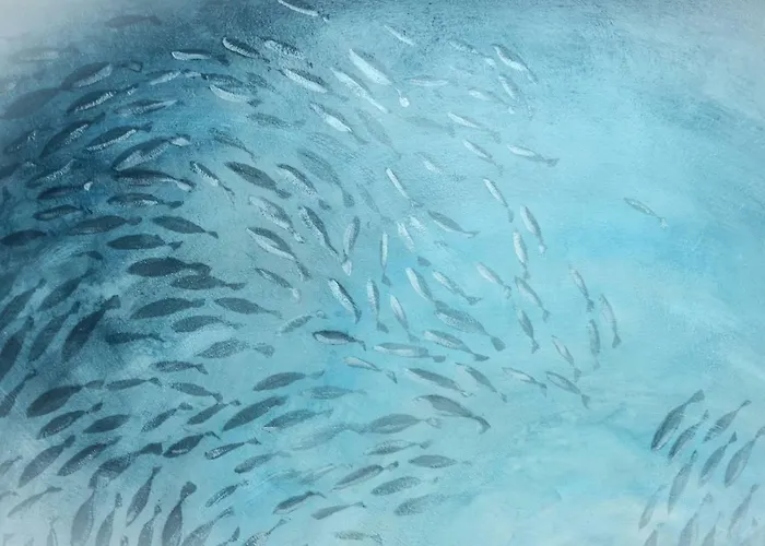 Racconti Di Mare - 5 Terre Jre La Spezia